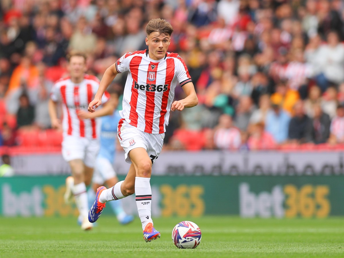 Everything Is Going To Be Totally Fine Forever – Stoke 1-0&nbsp;Coventry